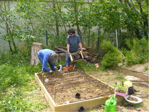 Les jardins collectifs, entre nature et agriculture - Métropolitiques